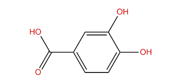 3,4-Dihydroxybenzoic acid